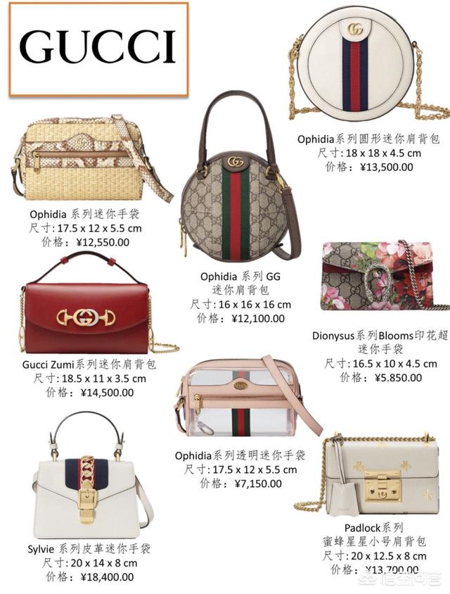gucci狗年波士顿梗犬刺绣25:有哪些适合年轻女孩儿背的大牌包包款式值得入手？