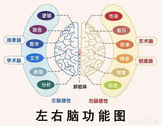 儿童全脑开发,孩子3岁上全脑开发，好不好？