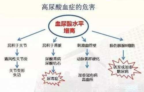 尿酸过高是尿毒症前兆吗:痛风患者，尿酸升高时，是不是肌酐也会跟尿酸一起升高？