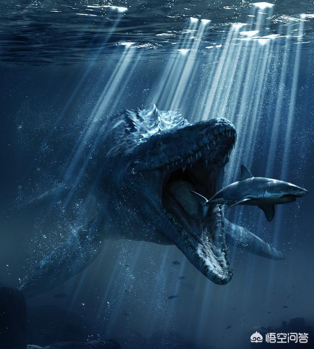 海蛇图片:史前海洋巨兽沧龙是怎样的生物？它们的体型有多大？