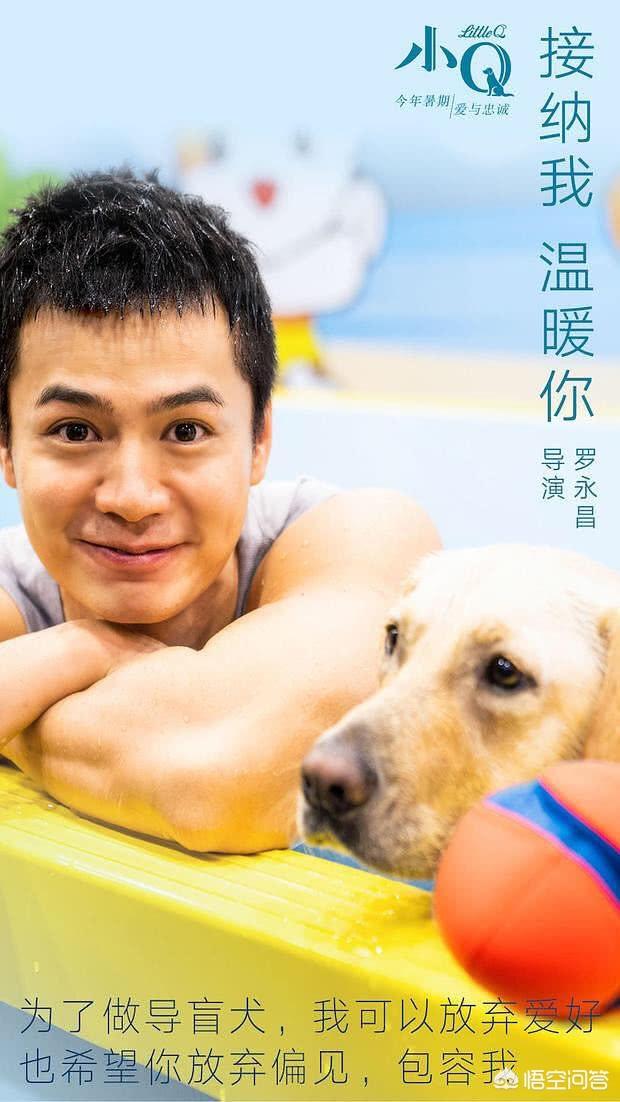 导盲犬小q是什么狗:如何评价任达华和梁咏琪主演的电影《小Q》？ 导盲犬小q里的冬菇是什么狗