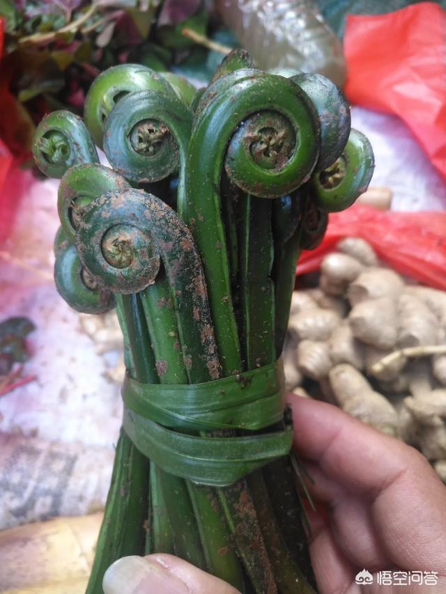 有哪些较低的蛋白质食物值得推荐？