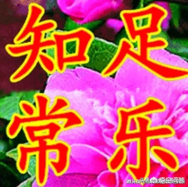 情人节怎么安排(情人节怎么安排约会)