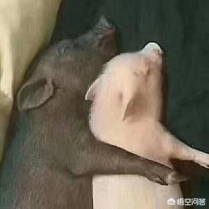 你见过最独特的情侣头像是怎样的？