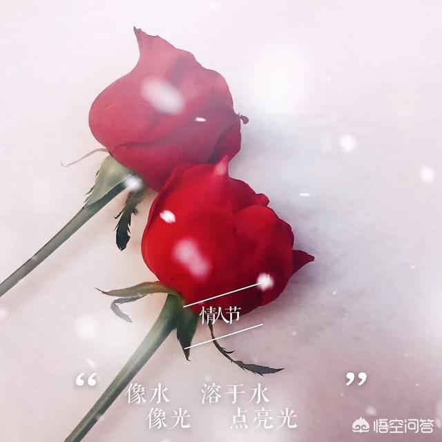 情人节时,你听过的最浪漫的情话是什么？