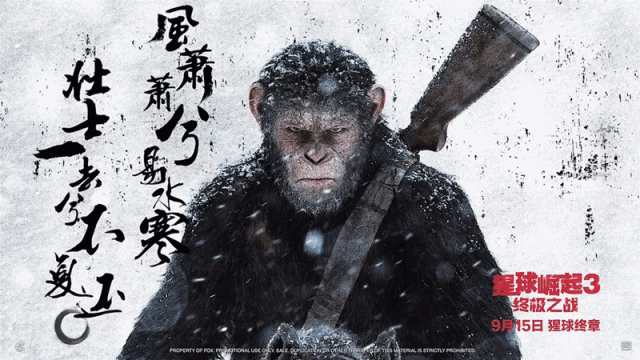 观鸟大年海报:旅游不仅辛苦，而且消费还高，为什么许多人都愿意去旅游？