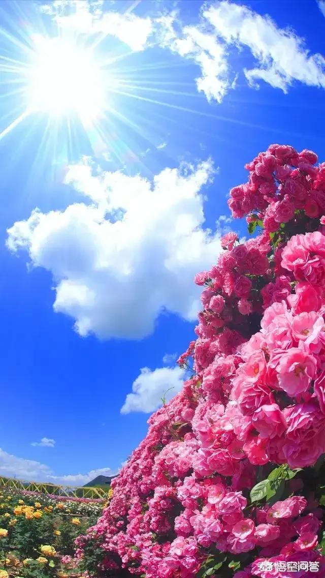 640_1137竖版 竖屏