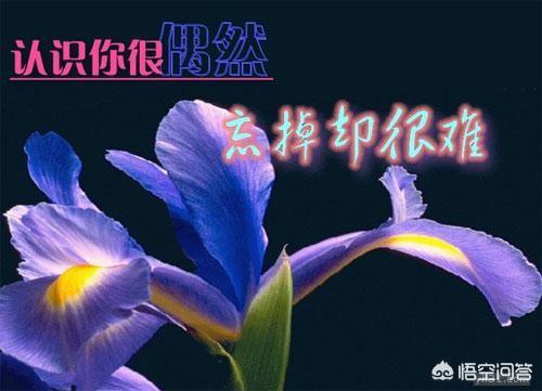 爱之初大结局:《乱世佳人》里为什么斯嘉丽和瑞德最后没能在一起