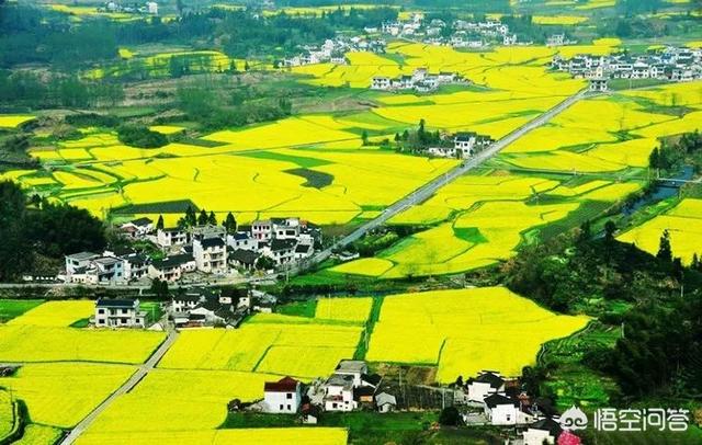 刘强东将把更多时间投入到乡村振兴事业中，如何利用金融服务来振兴农村？