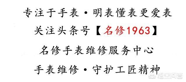 瑞士伯恩山犬国外卖家联系方式:世界上最适合人类居住的地区是那里？ 瑞士伯恩山犬一个月幼犬