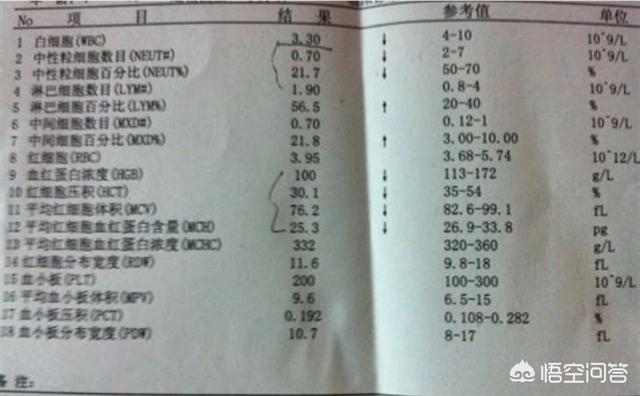 白血球减少症会不会死:白细胞减少可能会是什么原因？