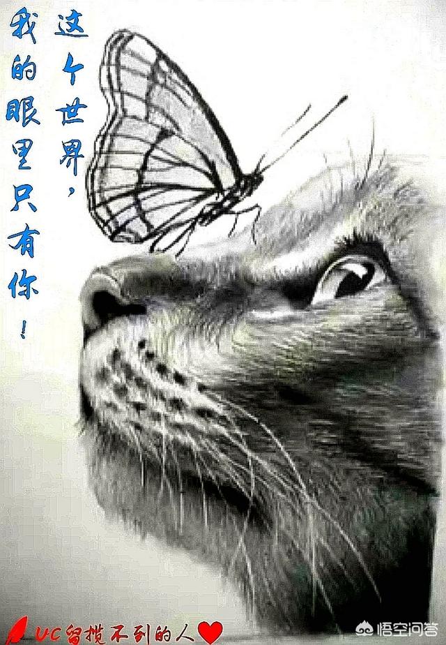 怎样撩一位和自己只有工作关系的小哥哥？