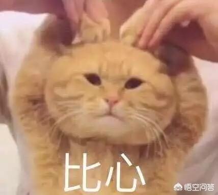 手机吃鸡的标准配置最高多少？