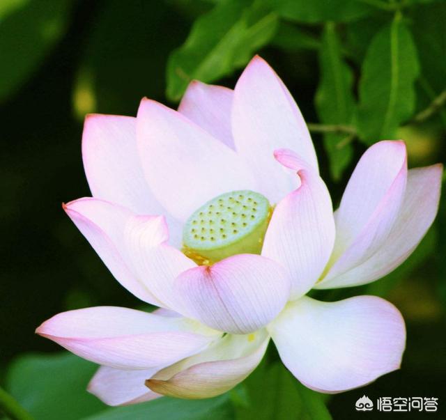 阳光心态正能量:你看过哪些经典的正能量句子？(最经典的正能量句子分享)