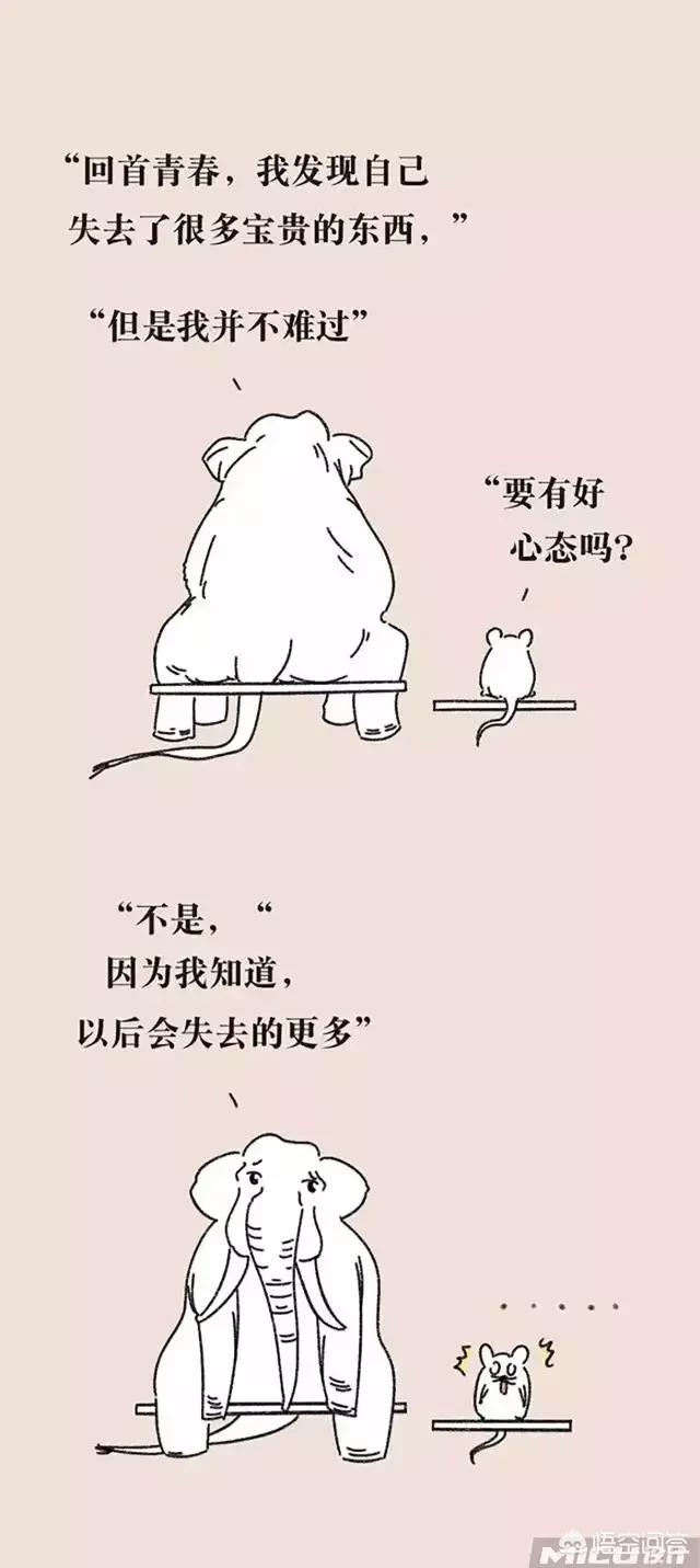《飞鸟集》中有哪些惊艳你的美句？