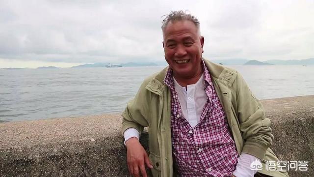 杨泽霖:经典电视剧《大内群英》的主演阵容有谁？他们的近况如何？