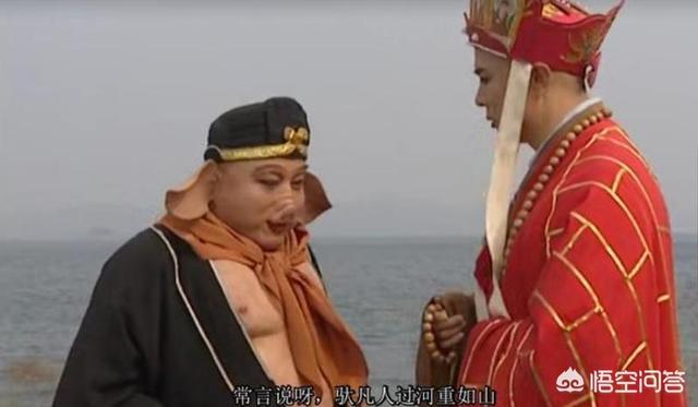 藏獒驮佛:为什么《西游记》中师兄弟三人都不肯背唐僧过河？ 藏獒驮佛的后代