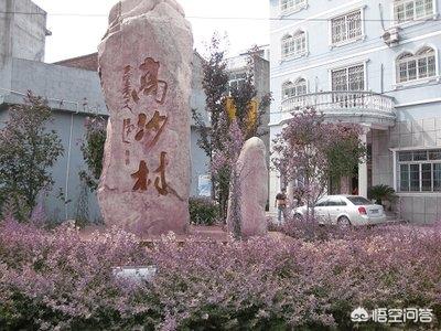 封门村图片:农村村庄的名字是怎么形成的？你都见过哪些奇怪的村庄名？