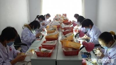 5万元可以开小型加工厂吗？