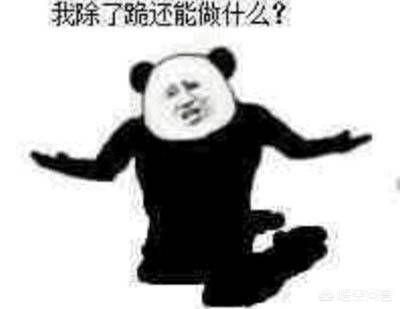为什么“沙雕熊猫”可以在众多表情包中脱颖而出？