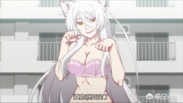 如何评价动漫《续：终物语》？