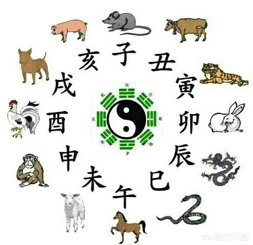 “十二生肖”是怎样形成的？老鼠最差,为啥能够排在第一位？