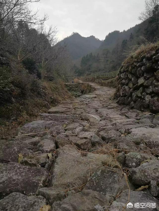 李一桐被偶遇，55岁马云登山被偶遇，他说，真的需要运动了，大家运动吗