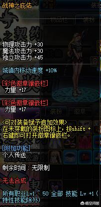 dnf大龙猫的漫游换装:DNF哪个职业换装最贵最难获取？