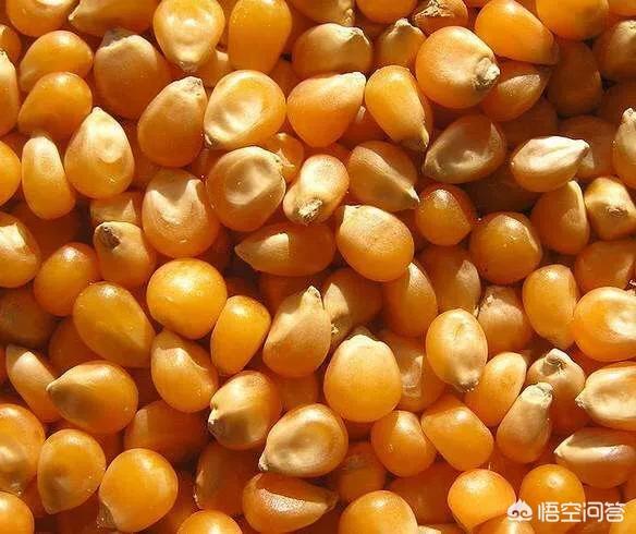 孙俪晒邓超逆生长:和男朋友同居一年了，是不是同居越久感情越淡