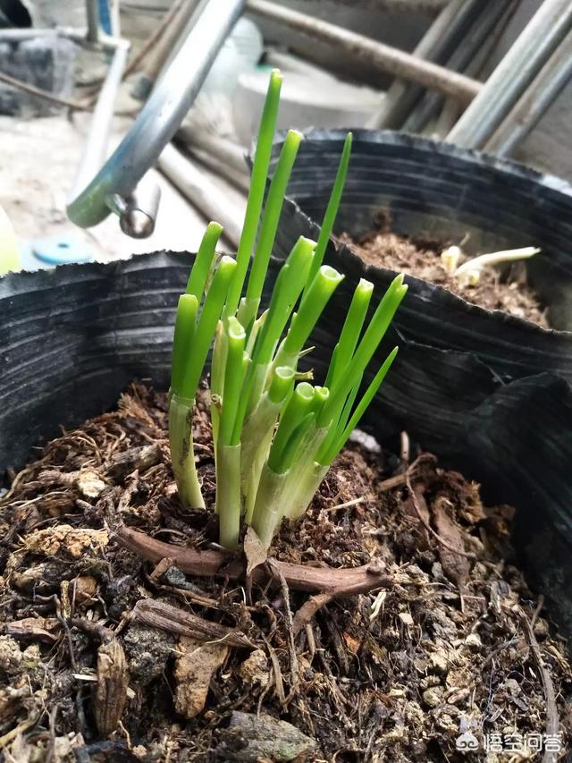 外贸电话销售有什么技巧吗