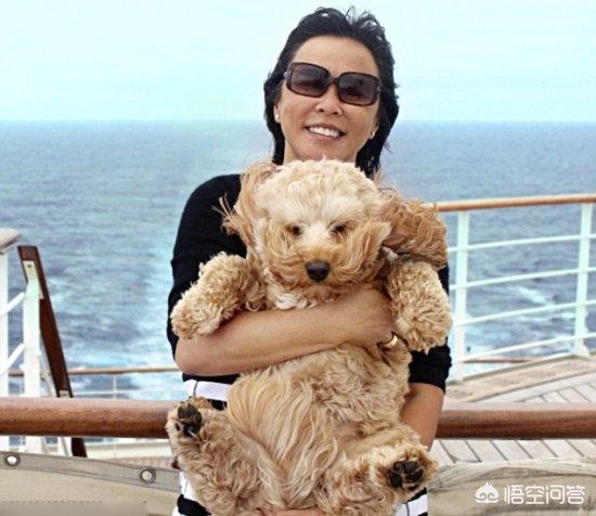 国内宠物摄影师排行榜:有没有国内高校摄影专业的排行榜？ 宠物摄影师的前景如何