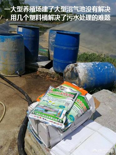 宠物兔养殖基地建设实施方案:畜禽养殖废弃物资源化利用都有哪些模式？