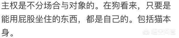 狗狗博客里的狗:为什么狗子都喜欢“坐”别狗、别猫、别人呢？