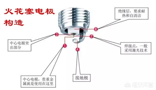 西里汉梗的养护常识:金枝玉叶怎么浇水？需要注意什么？