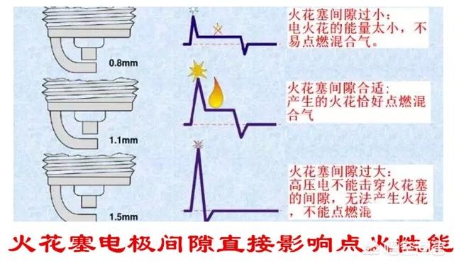 西里汉梗的养护常识:金枝玉叶怎么浇水？需要注意什么？