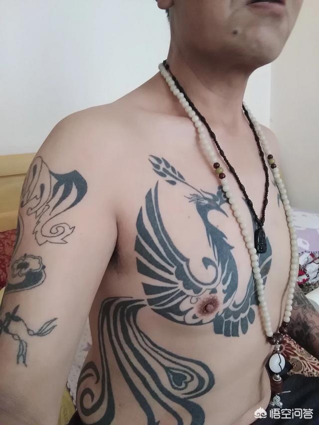 精品藏獒红利:现在做做头条自媒体，现在过没过红利期？ 藏獒红利图片
