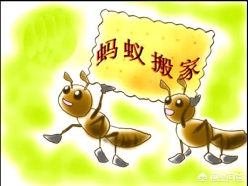 温水煮青蛙如何解读？是水厉害还是青蛙不聪明？