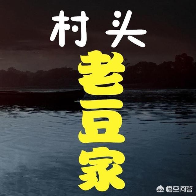 小可爱是什么狗:你平时会如何称呼陌生的小狗？