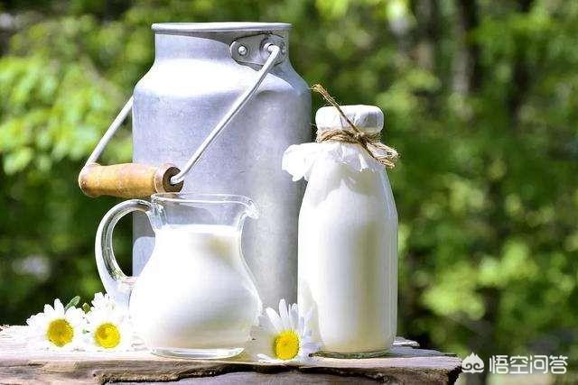 你喝的牛奶是“真”牛奶吗，牛奶有必要天天喝吗？市场上的纯牛奶可靠吗？