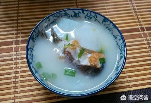 异国短毛猫 打喷嚏:异国短毛猫口臭是怎么回事？和猫粮有关吗？