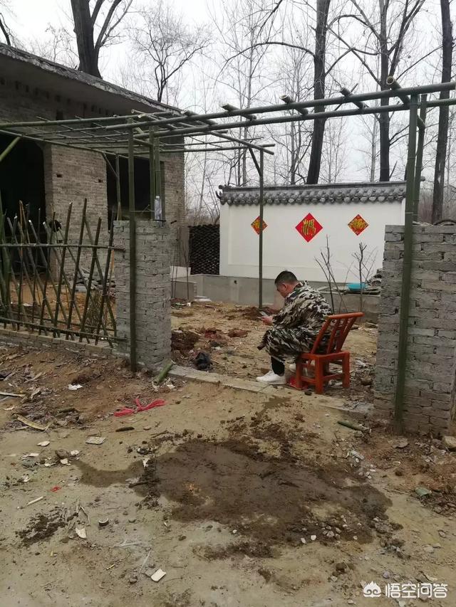 怎么做院子围墙又便宜又好看？插图119