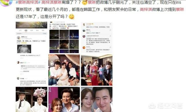 高梓淇蔡琳:高梓淇蔡琳离婚，还有哪些中韩联姻的明星跨国恋