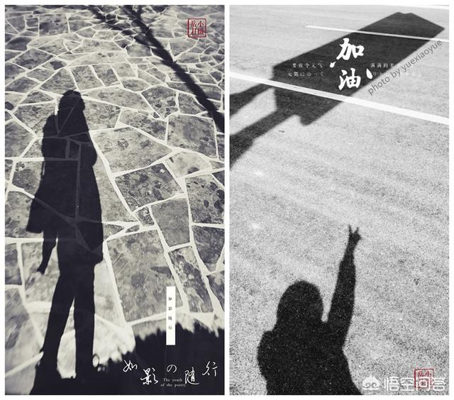 爱拍宠物摄影:爱好摄影的你，感觉自己是什么水平？晒出三张照片来分享一下吧？