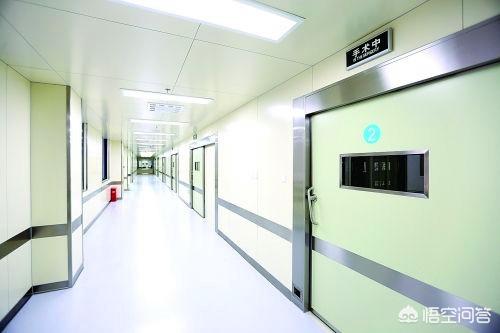兔子拉稀怎么办透明:兔子拉稀怎么处理屁屁，小白兔拉稀了怎么办？