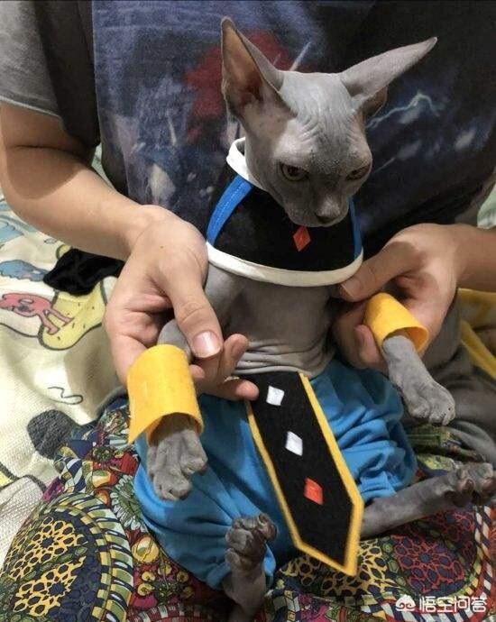 最简单的cosplay是怎样的呢？插图11