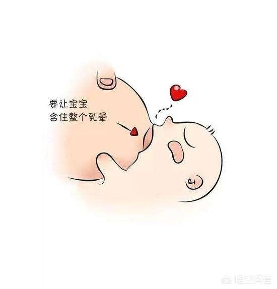 正确的哺乳姿势:宝宝每次吃奶时,要把乳头和乳晕都放在口中,而不是只
