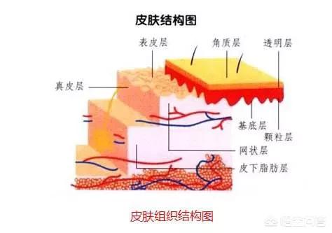 肝脏不好，身体哪里可能发黑