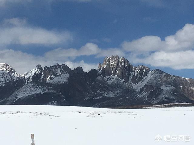 藏獒情缘雨婷洛桑格桑:假如可以放假一个月，那么你最想去旅游的地方是哪里？