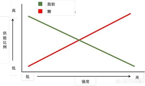 一磅等于多少斤1004无标题:中国网络上对外国有哪些偏见和误解？