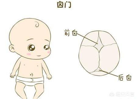 搓手猫:宝宝身上哪些地方最怕冷？ 搓手猫表情包
